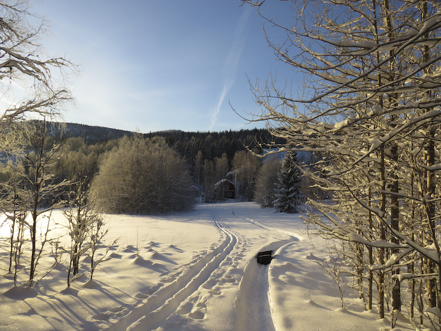 vinter